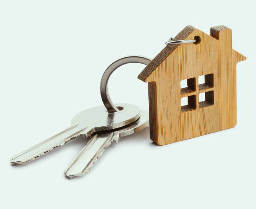 Our services can support you and your clients